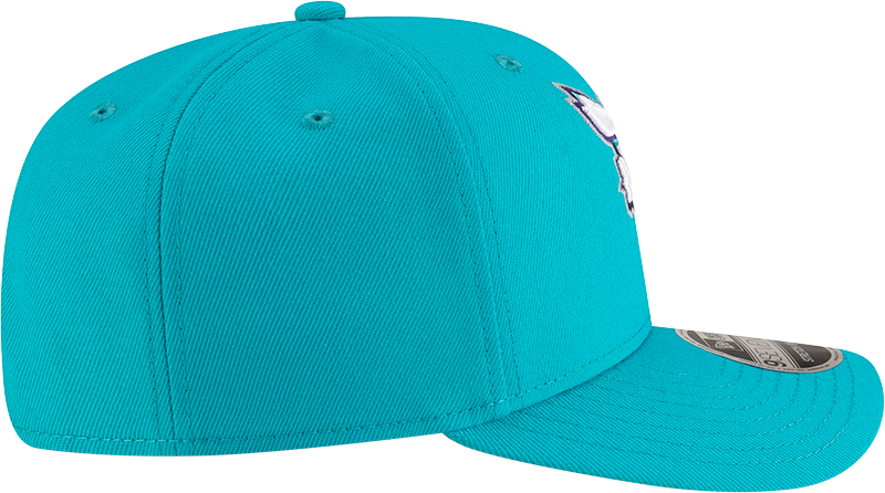 New Era 970 Stretch-Snap NBA Team Logo W/Logoman Snapback Cap (Charlotte Hornets/Teal)