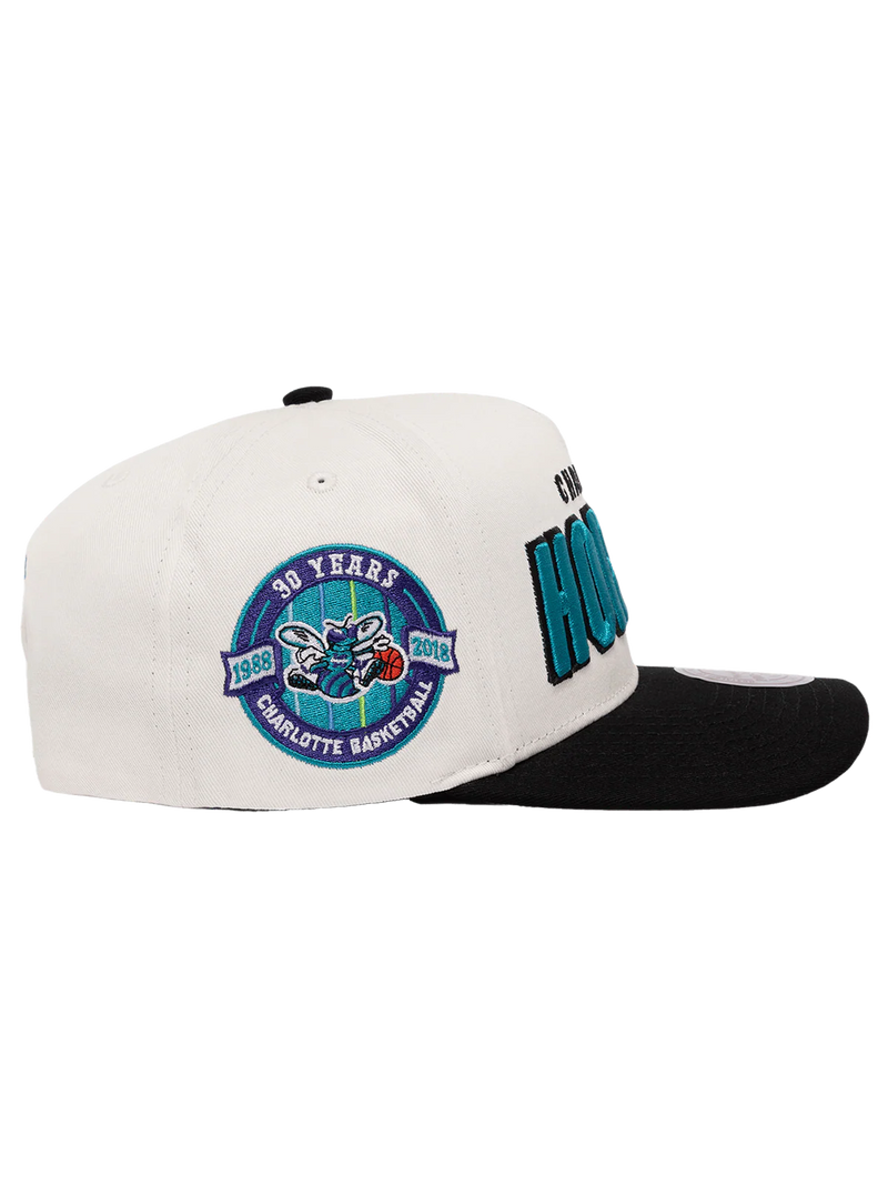 M&N Draft Day Pro Pinch Snapback - Charlotte Hornets