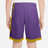 Nike Youth HBR Dri FIt Basketball Short DM8186-599