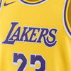 Nike LeBron James Los Angeles Lakers Icon Jersey #23 2022/23 - DN2009-733