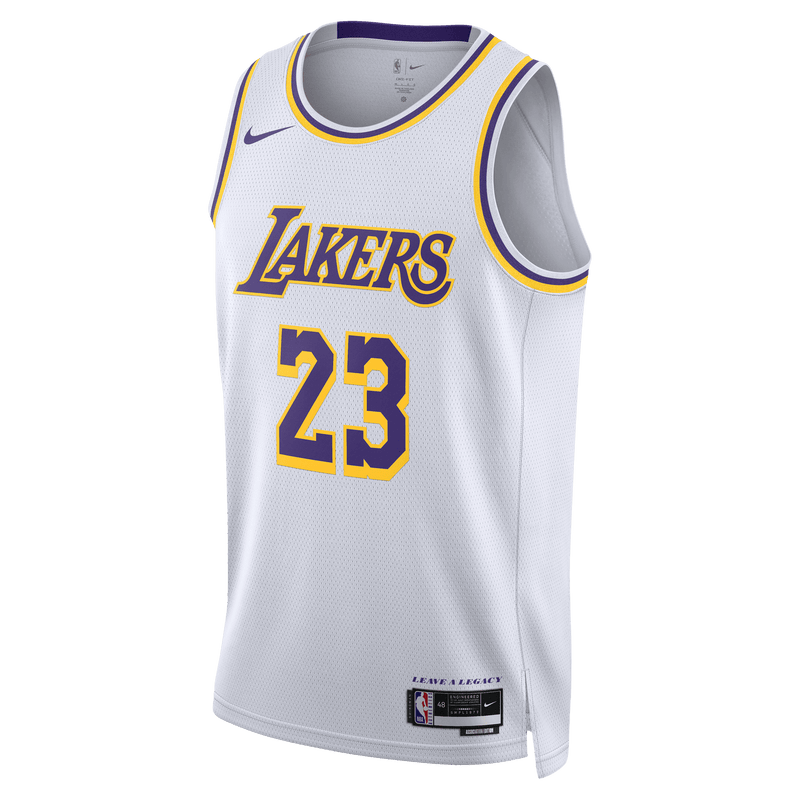 Lebron james shop pride swingman jersey