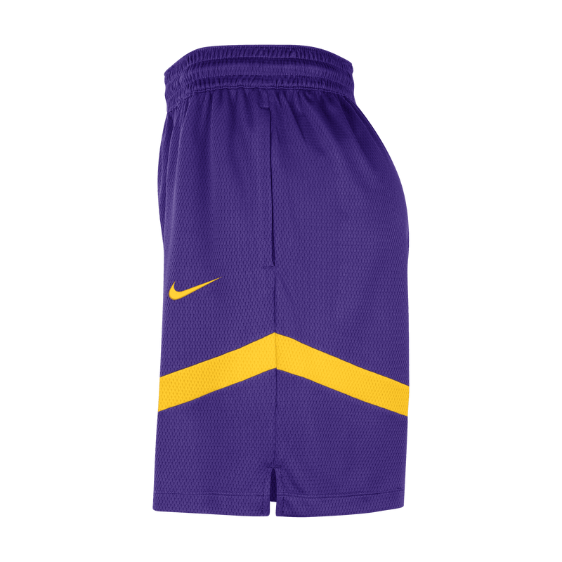 Nike NBA Dri-Fit Icon Practice Shorts (Los Angeles Lakers) - DZ3722-504