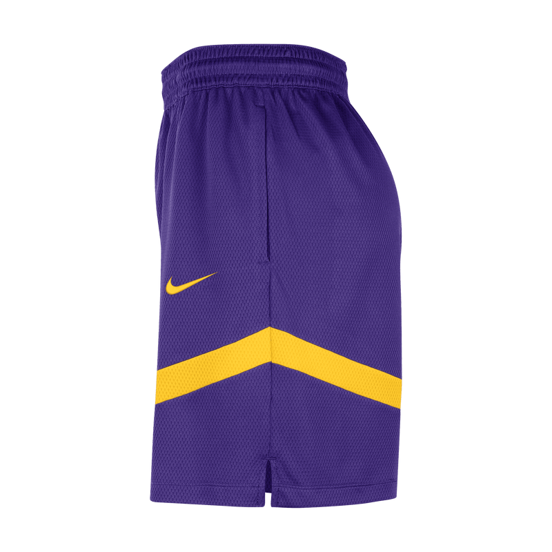 Nike NBA Dri-Fit Icon Practice Shorts (Los Angeles Lakers) - DZ3722-504