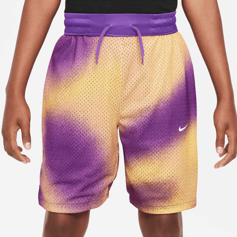 Youth Nike Dri-Fit C.O.B Reversible DNA Shorts FD4012-599