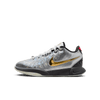Youth Nike LeBron XXI SE (GS) FJ1530-001