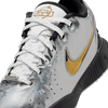 Youth Nike LeBron XXI SE (GS) FJ1530-001