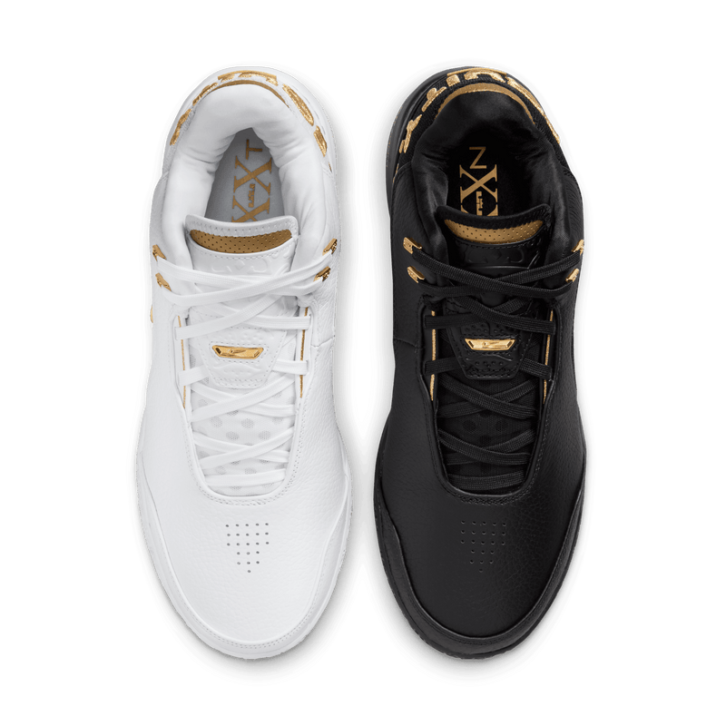 Nike Zoom Lebron NXXT Gen AMPD FJ1566-103
