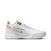 Nike Zoom Lebron NXXT Gen AMPD FJ1566-103