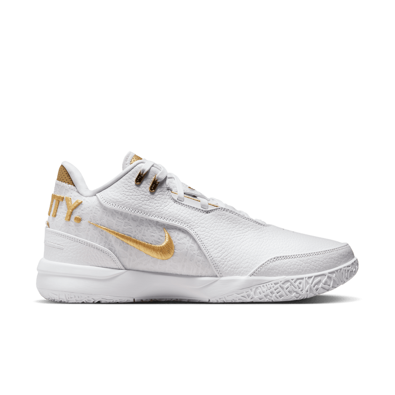 Nike Zoom Lebron NXXT Gen AMPD FJ1566-103