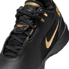 Nike Zoom Lebron NXXT Gen AMPD FJ1566-103