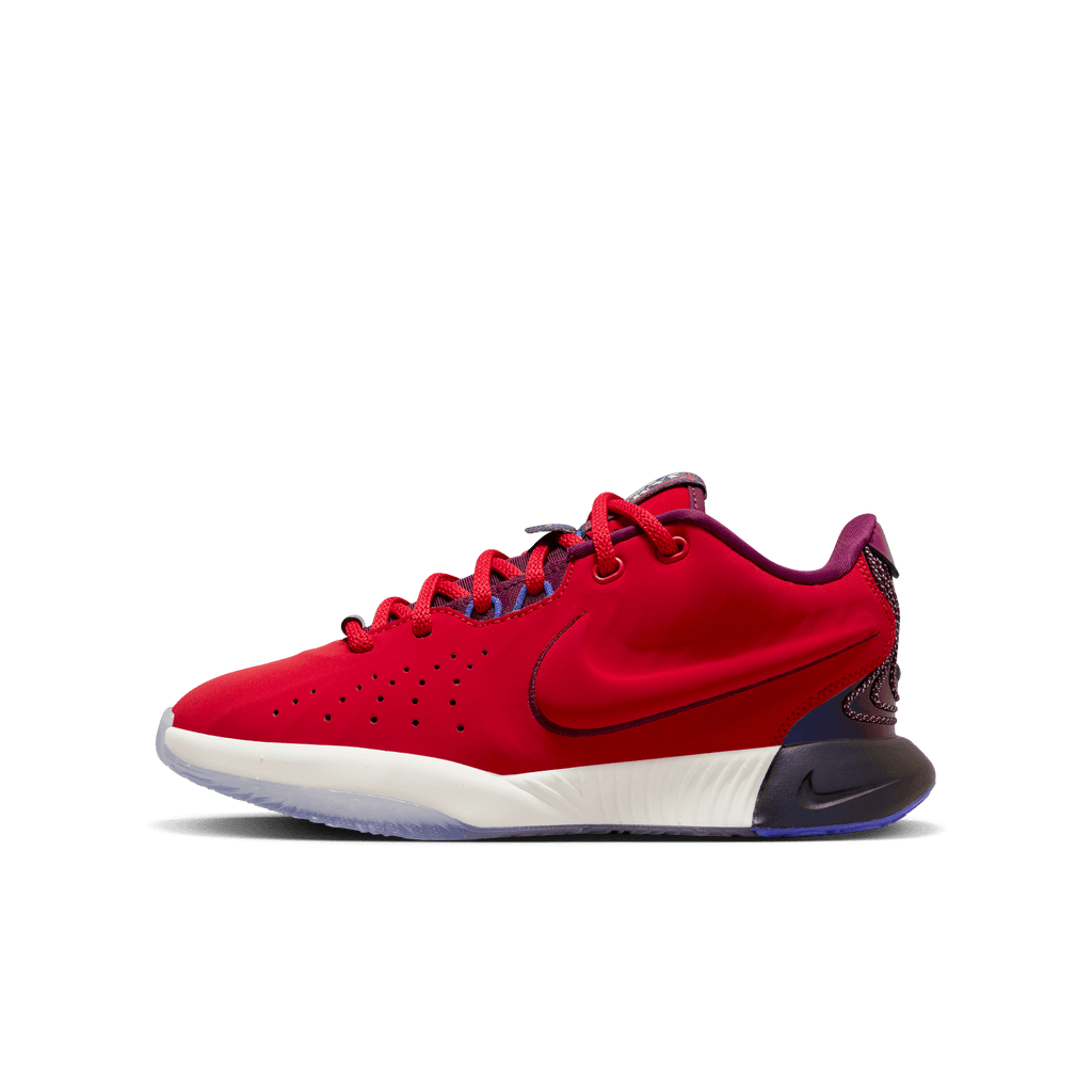 Youth Nike LeBron XXI SE (GS) FN4305-600