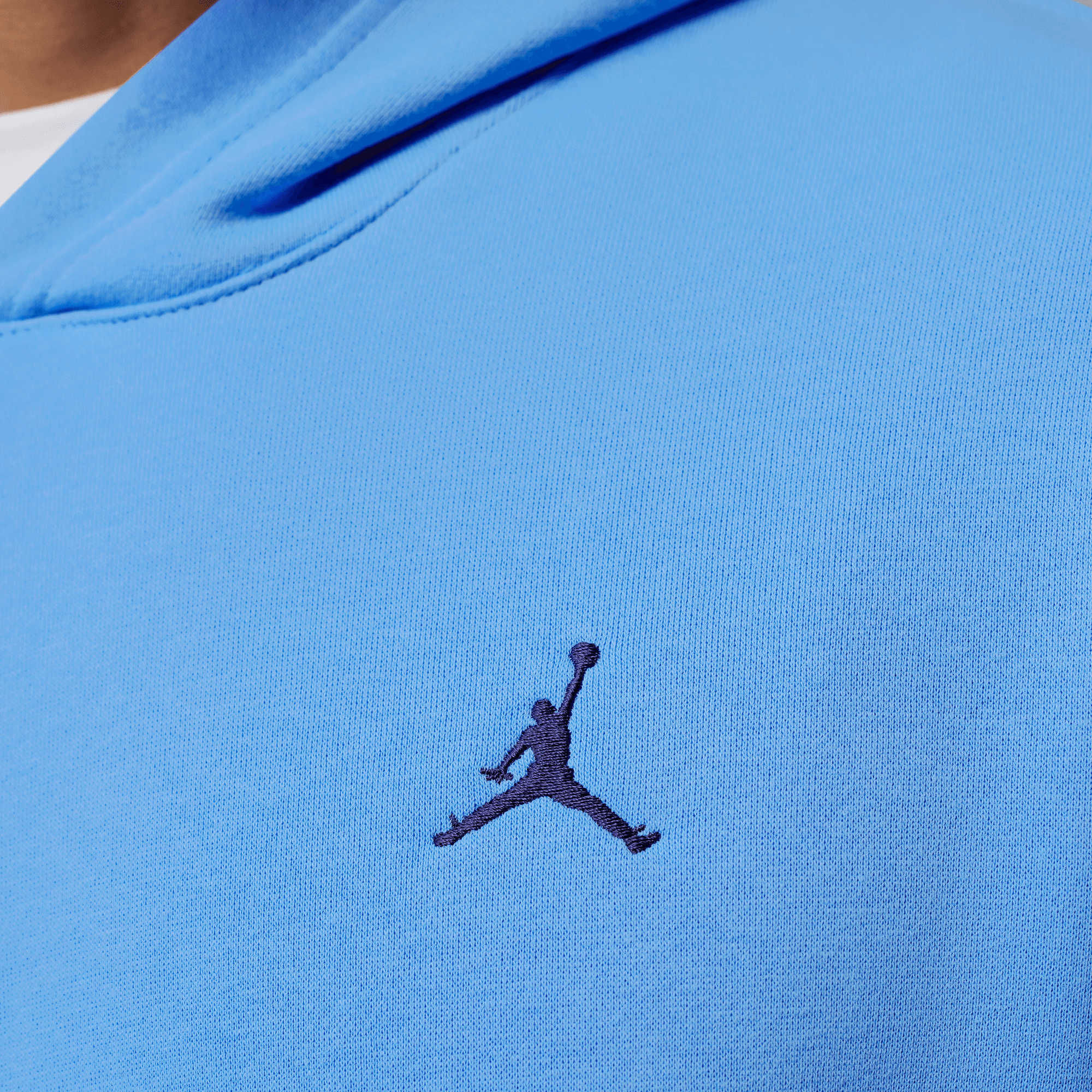 Jordan Brooklyn Fleece Hoodie FV7281-412 – Hoops Heaven