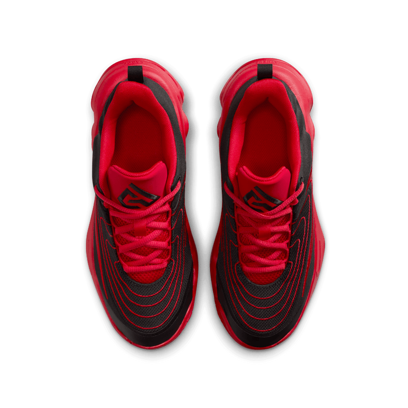 Youth Nike Giannis Immortality 4 (GS) FZ6734-005