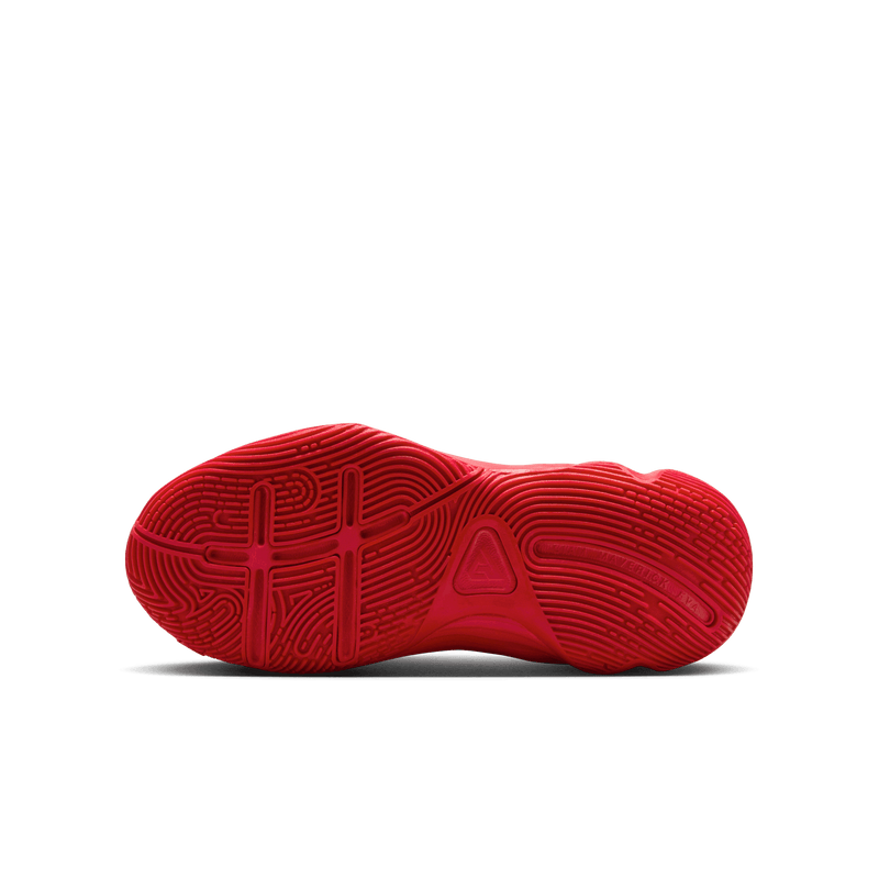 Youth Nike Giannis Immortality 4 (GS) FZ6734-005