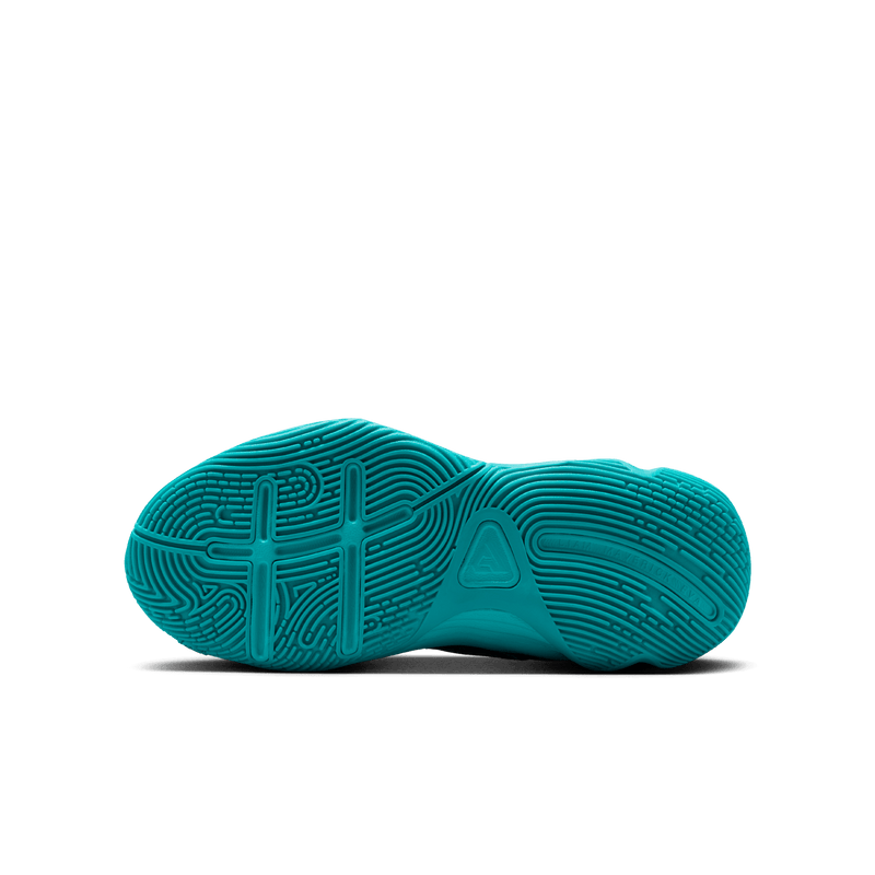Youth Nike Giannis Immortality 4 (GS) FZ6734-303
