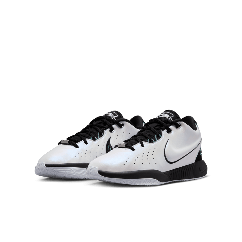 Youth Nike Lebron XXI (GS) - FZ7189-100