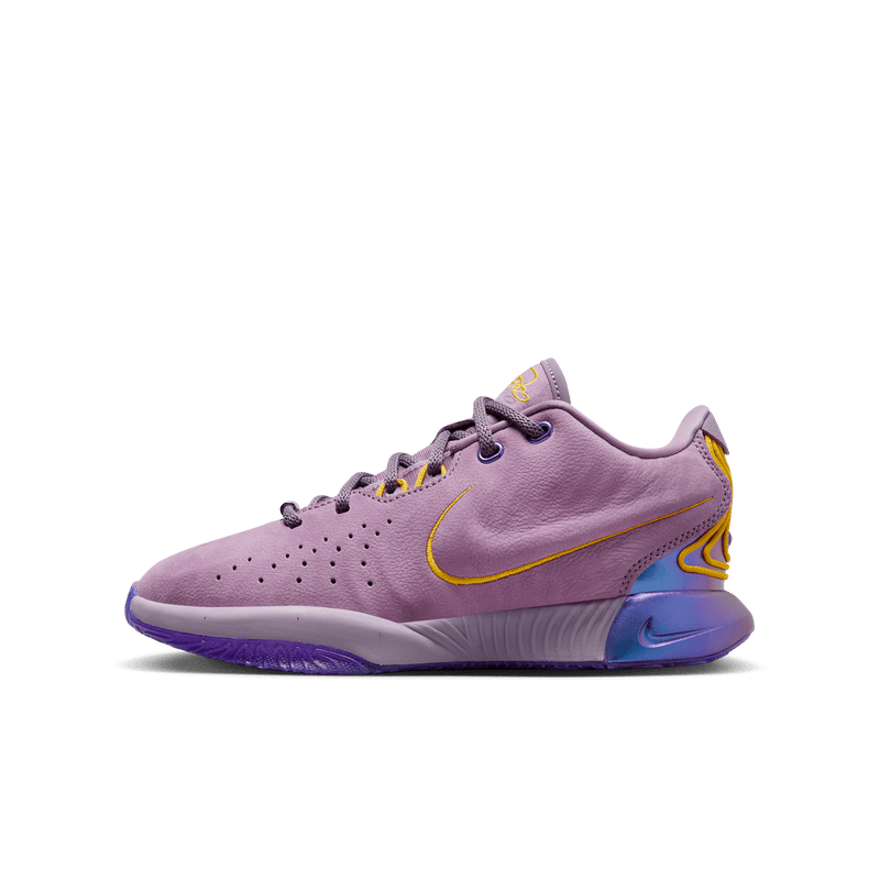 Nike Kids' LeBron 20 'Nike Lifer' Basketball Shoes | DICK'S Sporting Goods
