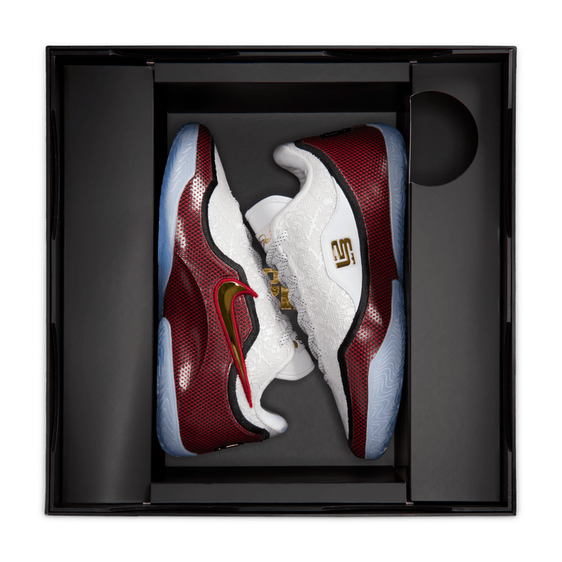 Nike LeBron XXIII "Grand Opening" HJ5629-100