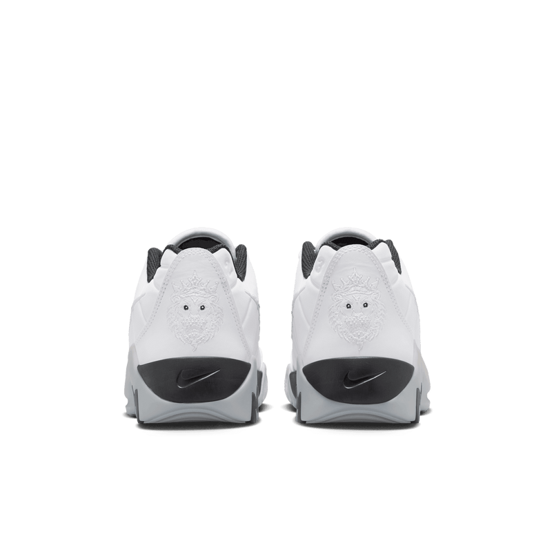 Youth Lebron Witness IX (GS) HV2270-100