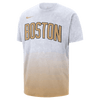 Nike NBA Essentials Boston Celtics City Edition M90 Tee HV5496-100