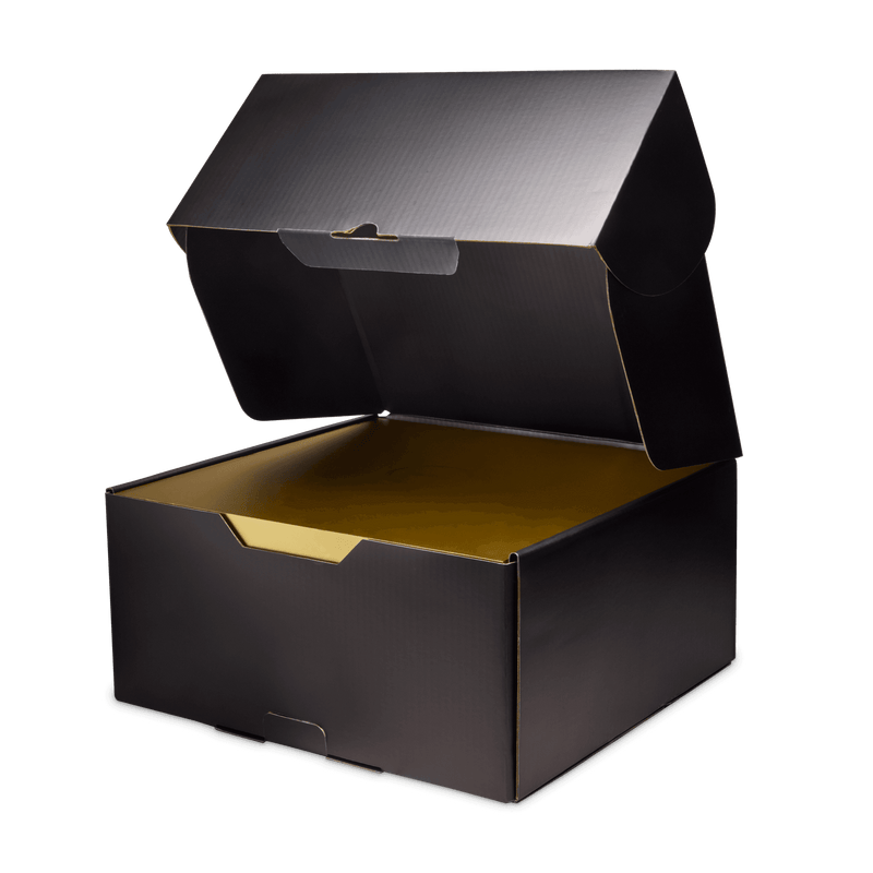 Nike LeBron XXIII "Bubble Boy" IF0694-002