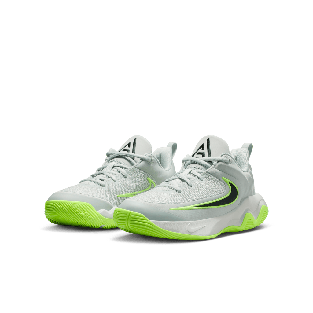 Youth Nike Giannis Immortality (GS) IH7664-002