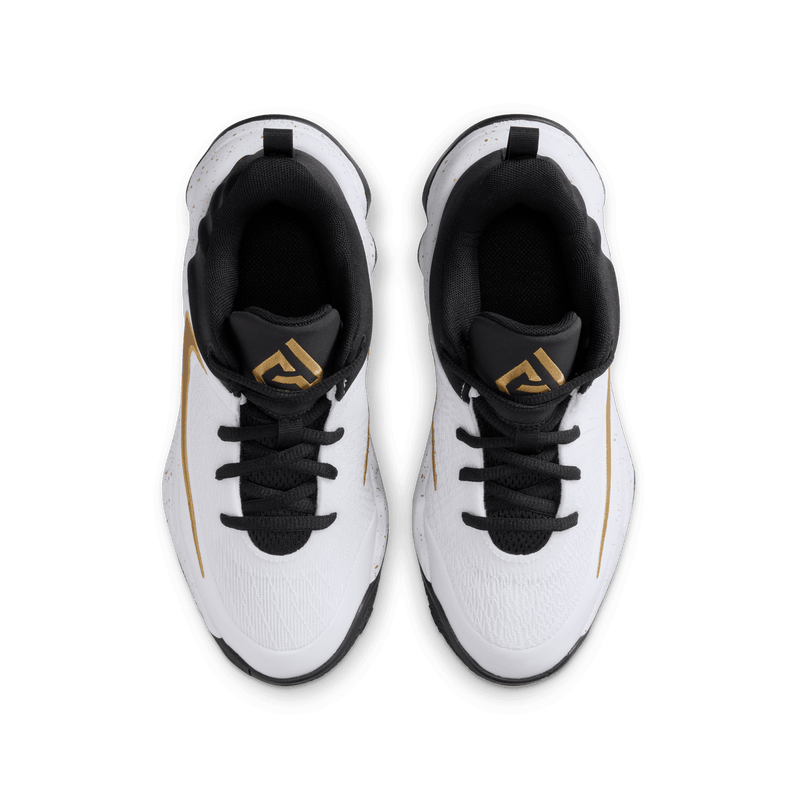 Youth Nike Giannis Immortality (GS) IH7664-003