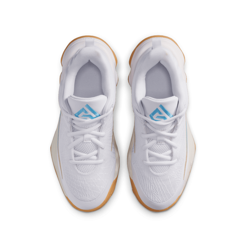 Youth Nike Giannis Immortality (GS) IH7664-100
