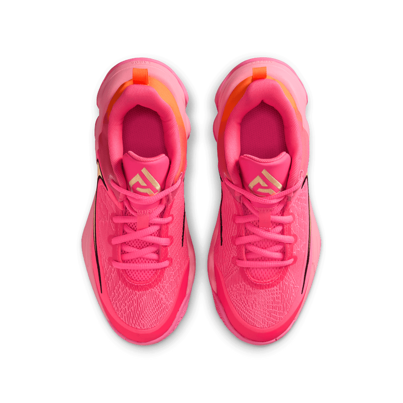 Youth Nike Giannis Immortality (GS) IH7664-601