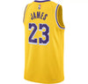 Youth Lebron James Icon Swingman Jersey (Lakers)