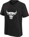 Youth Nike City Edition Essential Logo Tee - Chicago Bulls