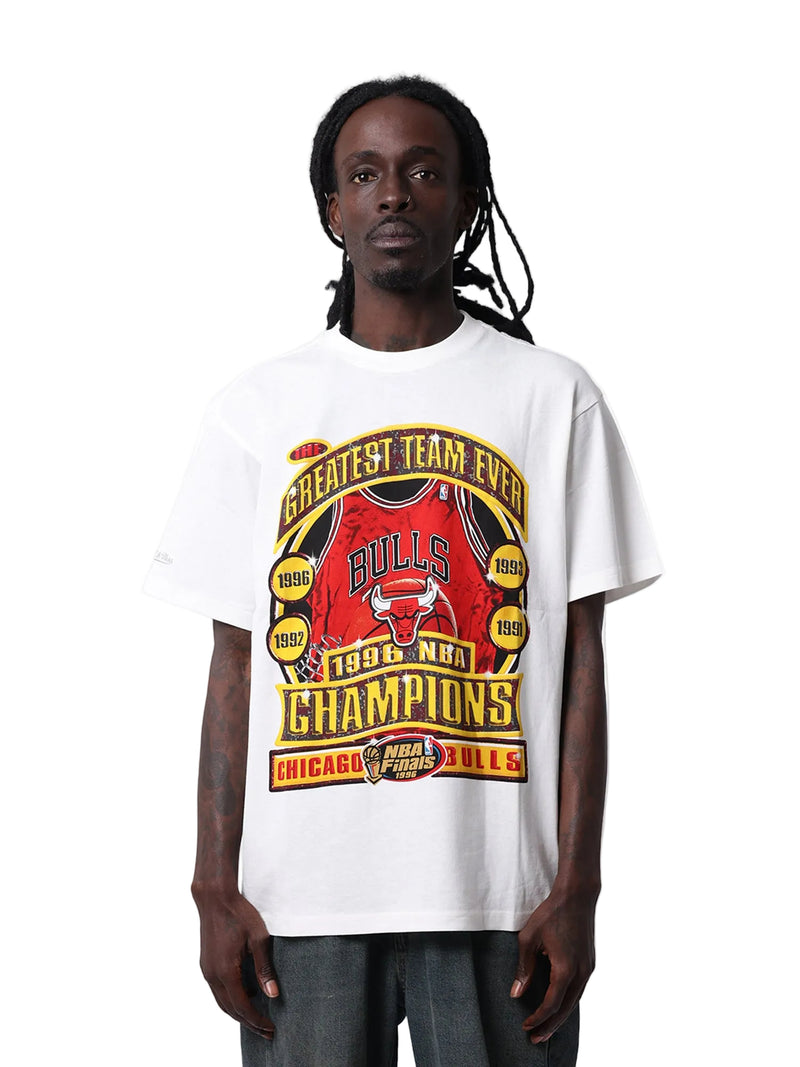 1996 bulls championship shirt