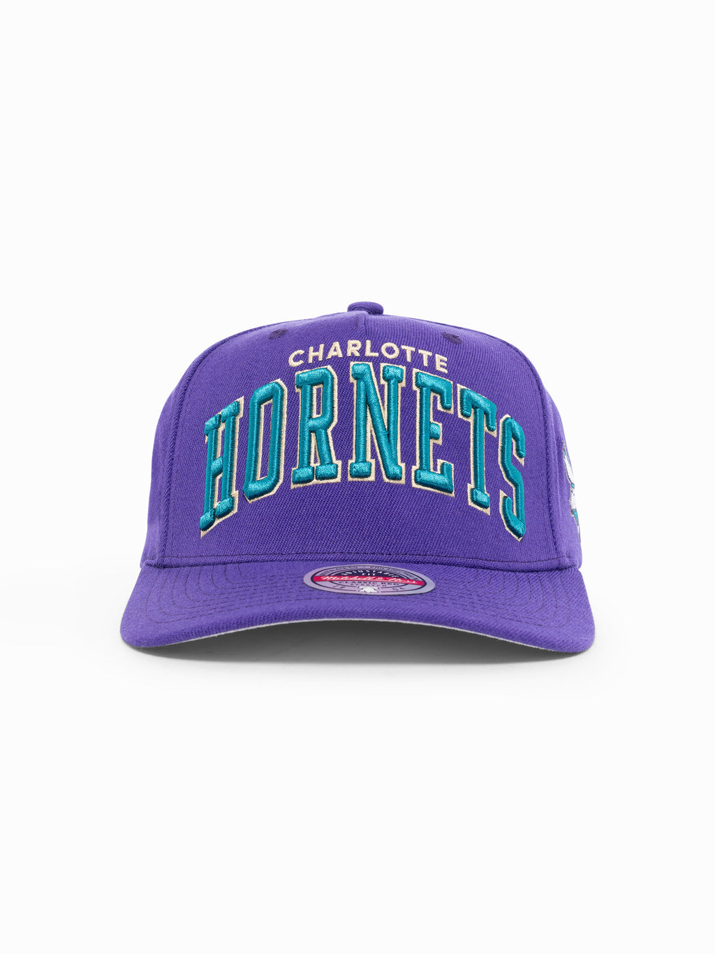 M&N NBA Team Colour Stretch Snapback - Charlotte Hornets