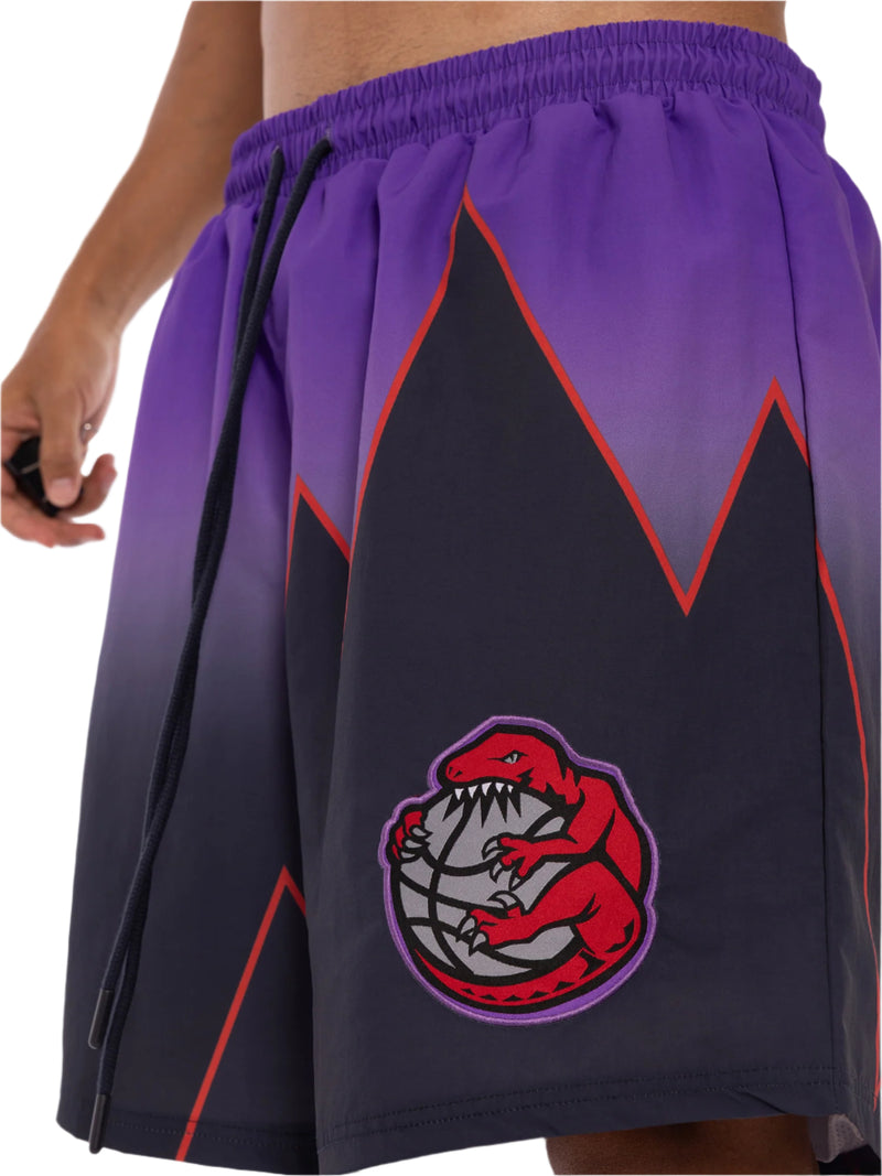 M&N Polyester Team Shorts - Toronto Raptors