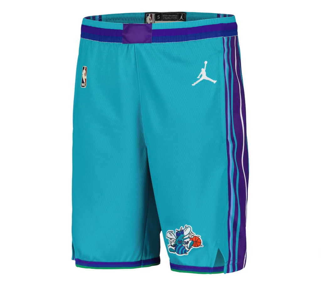 Youth Nike HWC Swingman Shorts - Charlotte Hornets