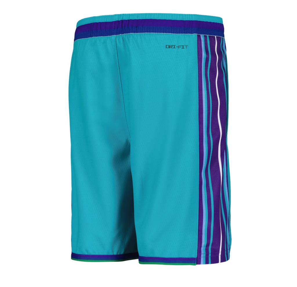 Youth Nike HWC Swingman Shorts - Charlotte Hornets