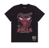 Youth M&N Trigon Tee - Chicago Bulls