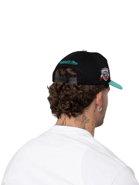M&N 30 Year Origin Snapback - Memphis Grizzlies