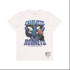 Youth M&N Trigon Tee - Charlotte Hornets
