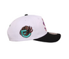 M&N 1995 NBA Draft Origins Raptors & Grizzlies Snapback (White/Black)