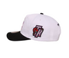 M&N 1995 NBA Draft Origins Raptors & Grizzlies Snapback (White/Black)