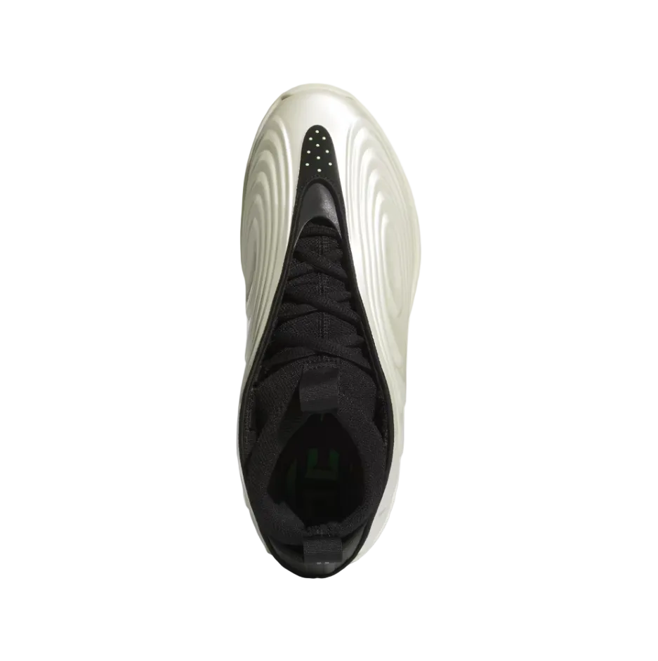 Adidas Harden Volume 10 