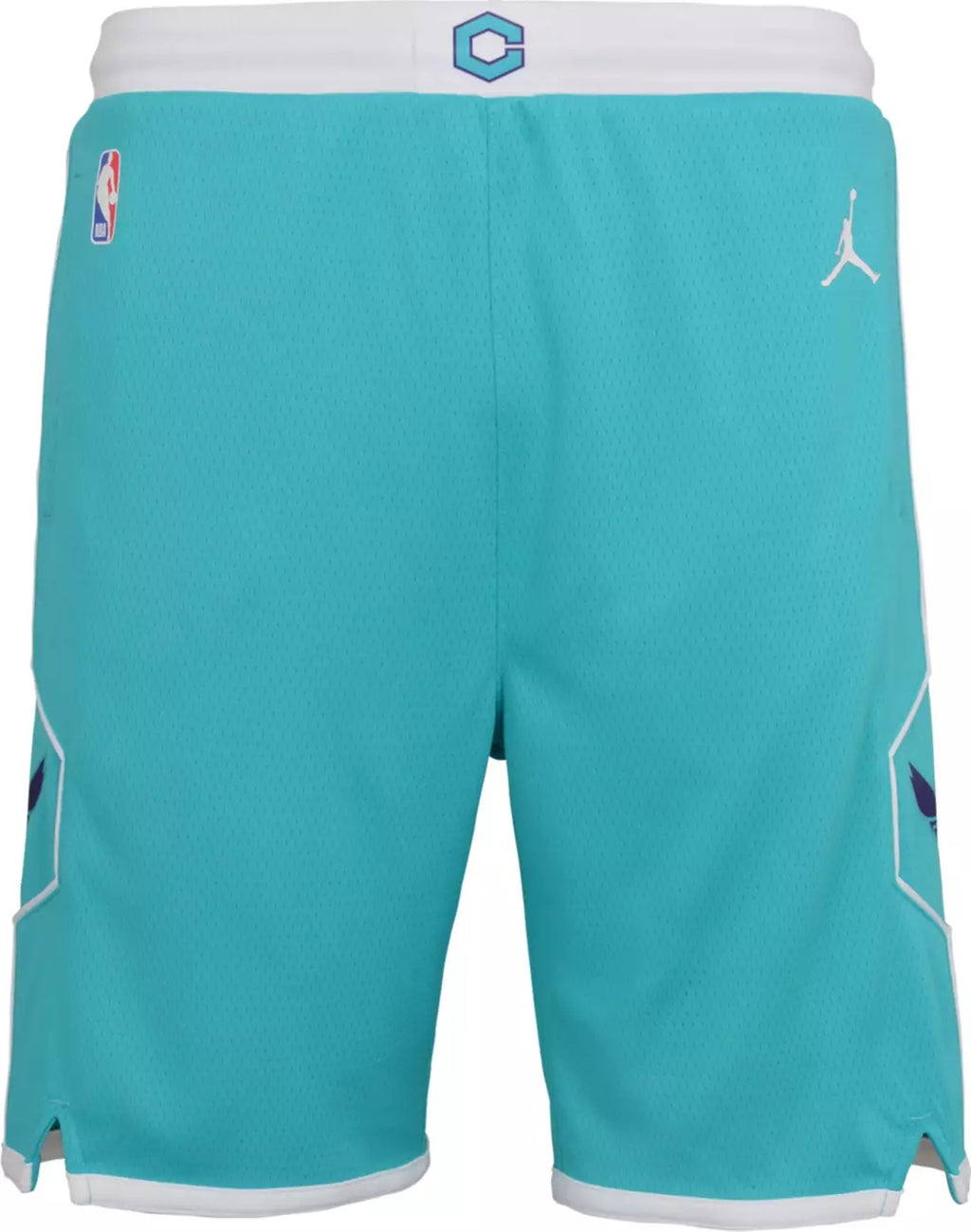 Youth Icon Swingman Shorts (Charlotte Hornets)