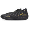 Puma MB.06 "Orbit" 314790_01