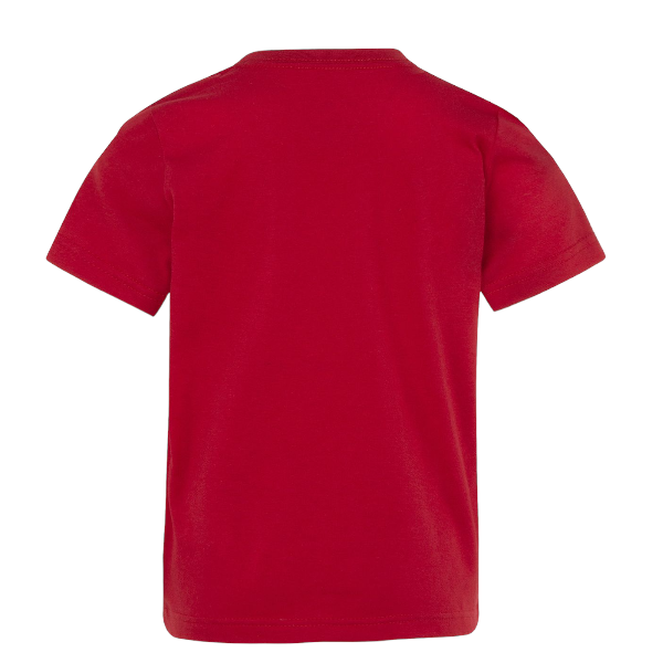 Kids Jordan Practice Flight Tee (Gym Red) 85A088 R78