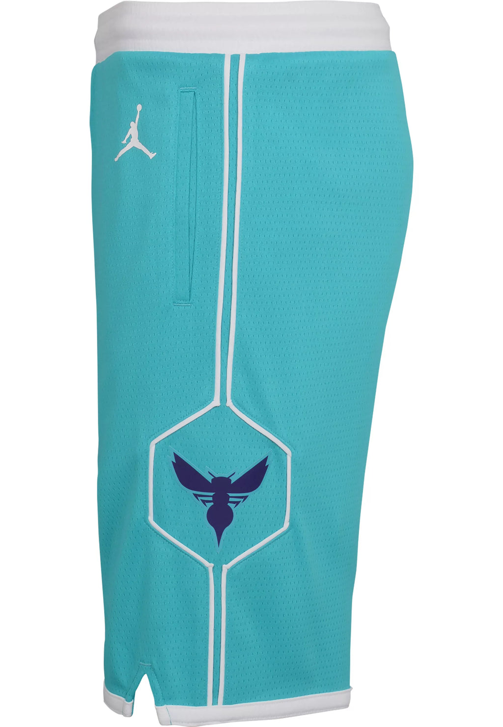 Youth Icon Swingman Shorts (Charlotte Hornets)