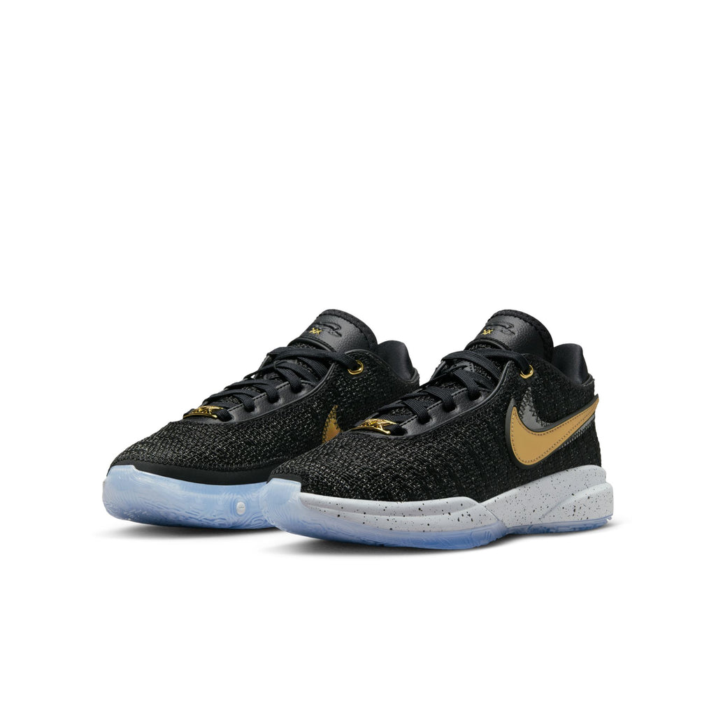 Youth Nike LeBron XX GS DQ8651-003