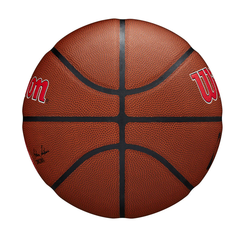 Wilson NBA Team Composite - Atlanta Hawks (Size 7)